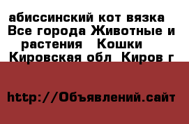 абиссинский кот вязка - Все города Животные и растения » Кошки   . Кировская обл.,Киров г.